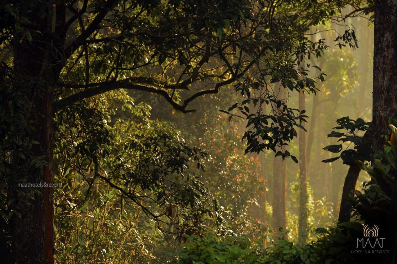 Dew Drops Farm Resorts Munnar Zewnętrze zdjęcie