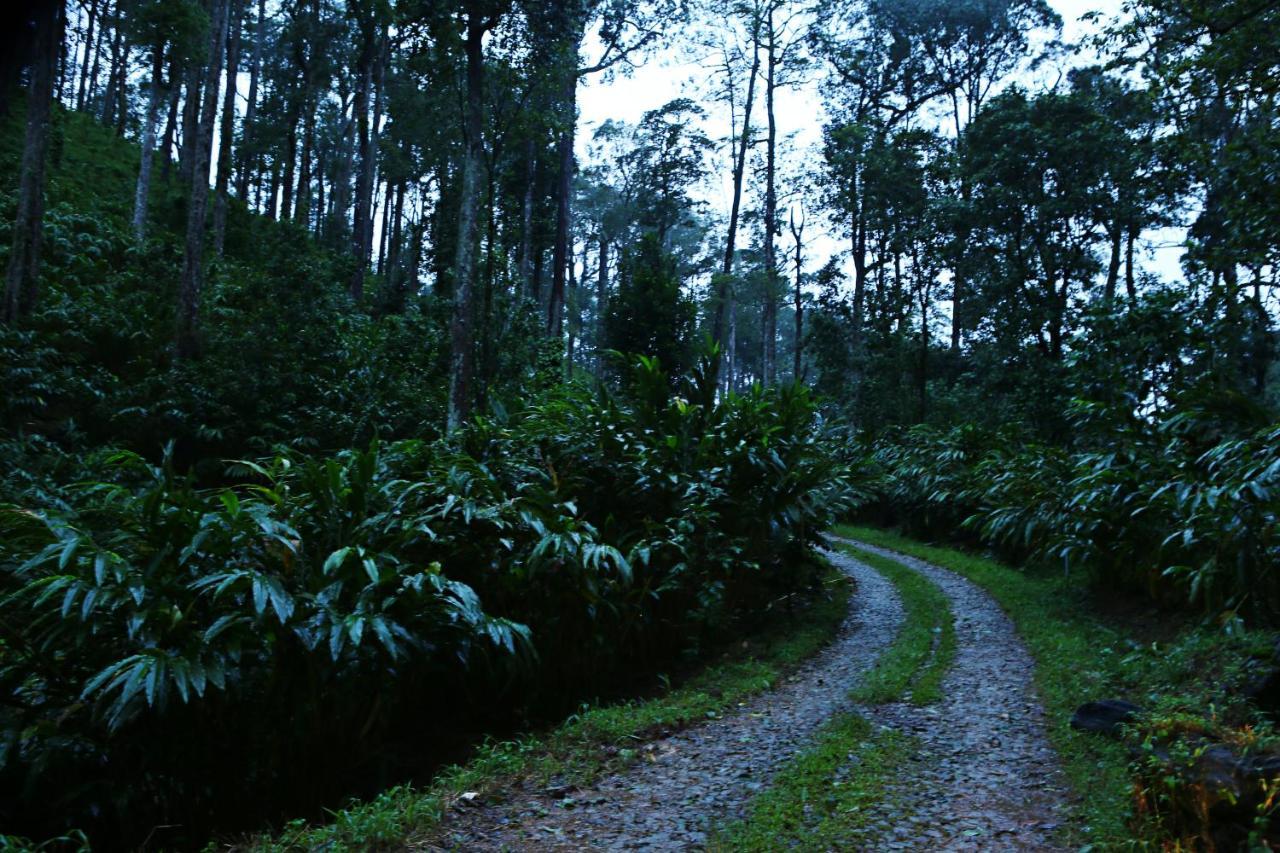 Dew Drops Farm Resorts Munnar Zewnętrze zdjęcie