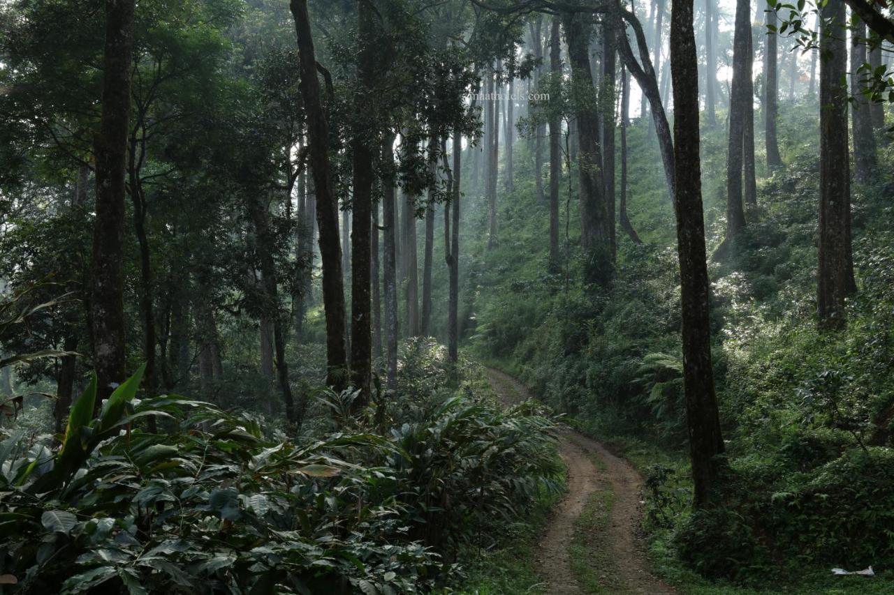 Dew Drops Farm Resorts Munnar Zewnętrze zdjęcie