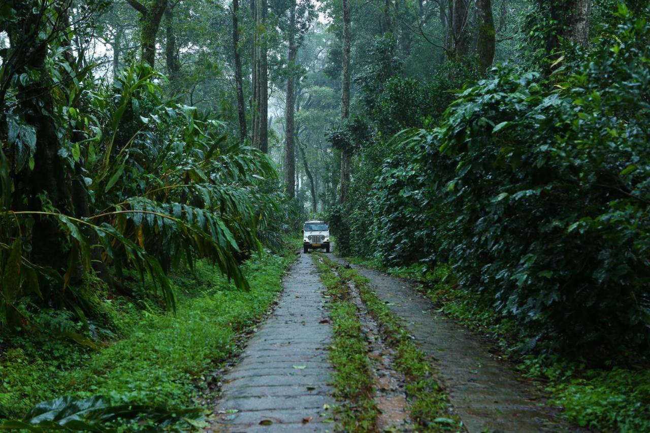 Dew Drops Farm Resorts Munnar Zewnętrze zdjęcie